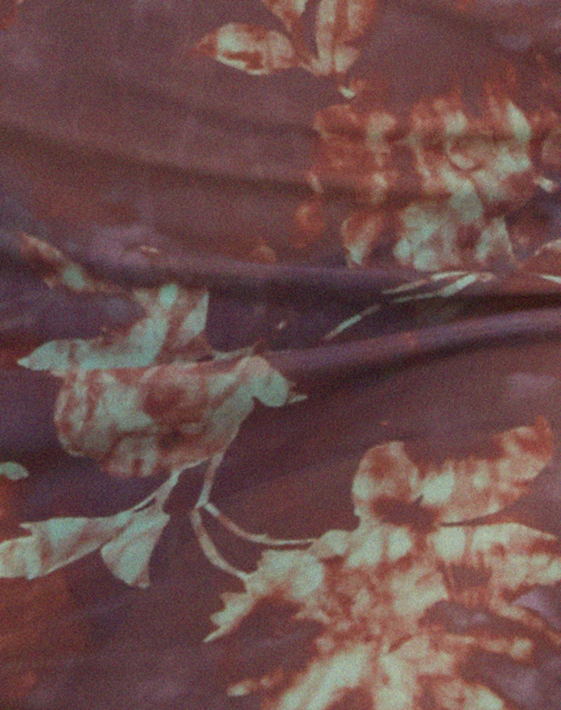 Takel Mini Skirt in Botanical Animal Brown